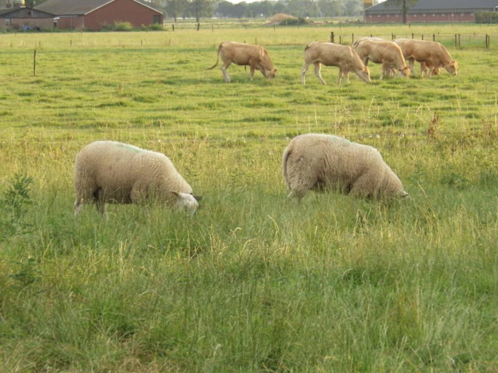 Landrust Leilighet Horssen Eksteriør bilde